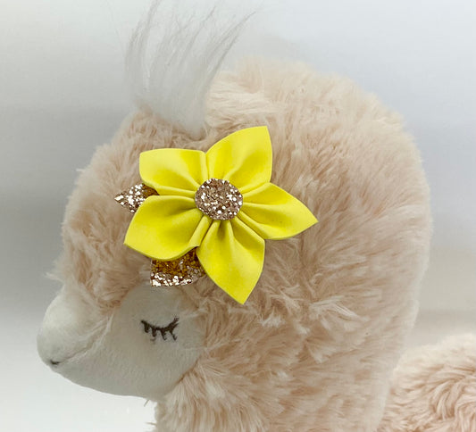 Hair Clips